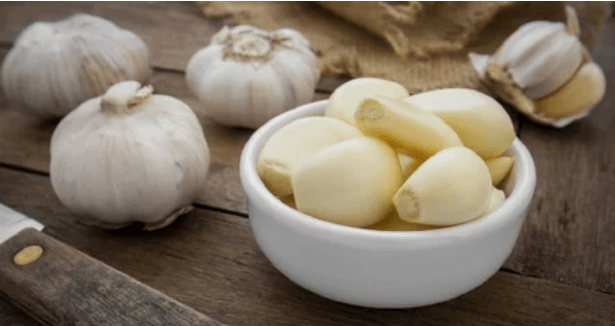 Garlic is used for parasites