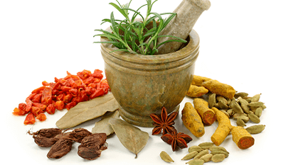 How to treat internal parasites