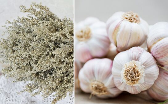 Wormwood and garlic can remove parasites from the body