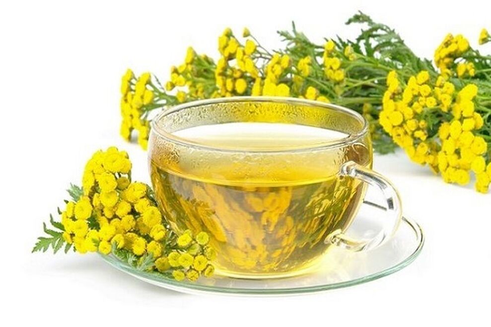Tansy decoction to treat parasites